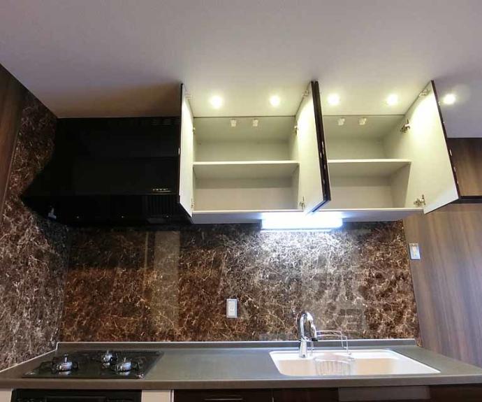 【ニッセイコーポラス】間取