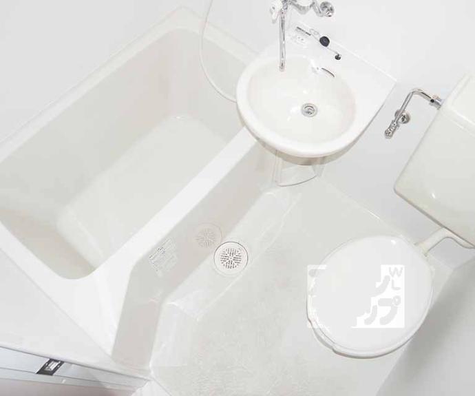 【メゾン洛南】間取