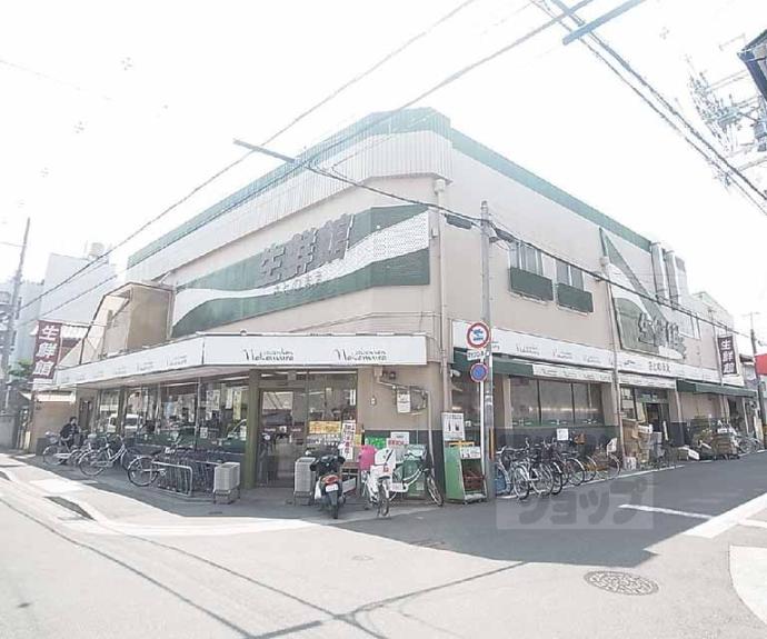 【田中玄京町９７－１０貸家】間取