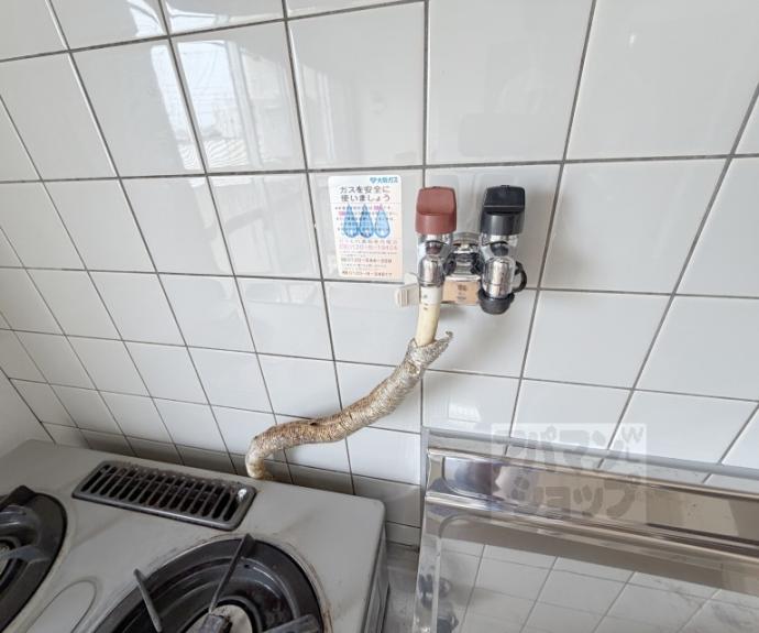 【カドノハイツ】間取