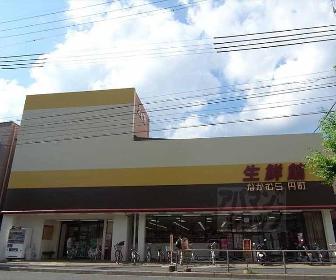 【フラッティ円町北】間取