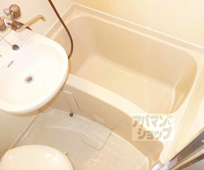 【樹庭夢・幹】間取