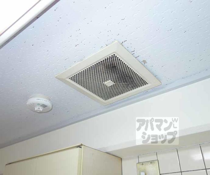 【樹庭夢・幹】間取