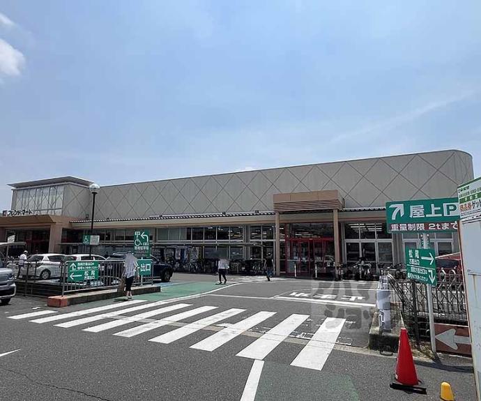 【シャーメゾン四条桂川】間取