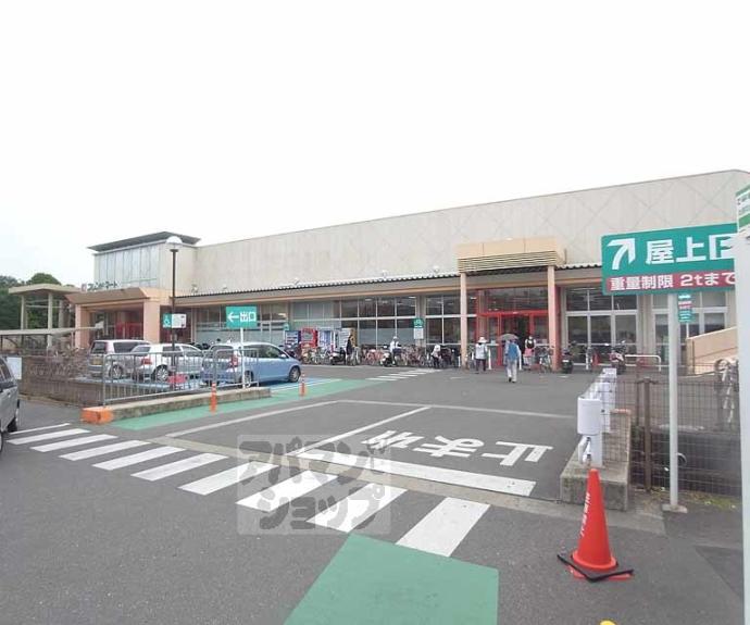 【梅津罧原町貸家】