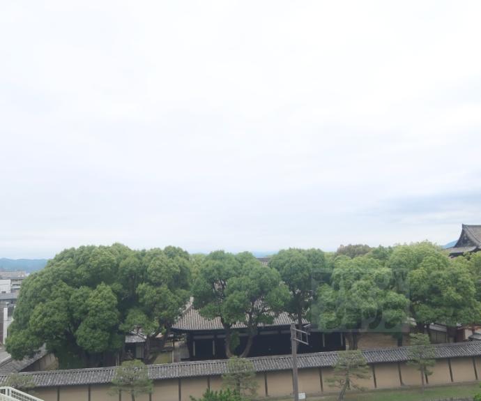 【ORYZA東寺】間取