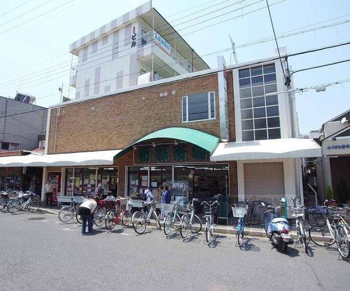 【リンクメゾン淀】間取