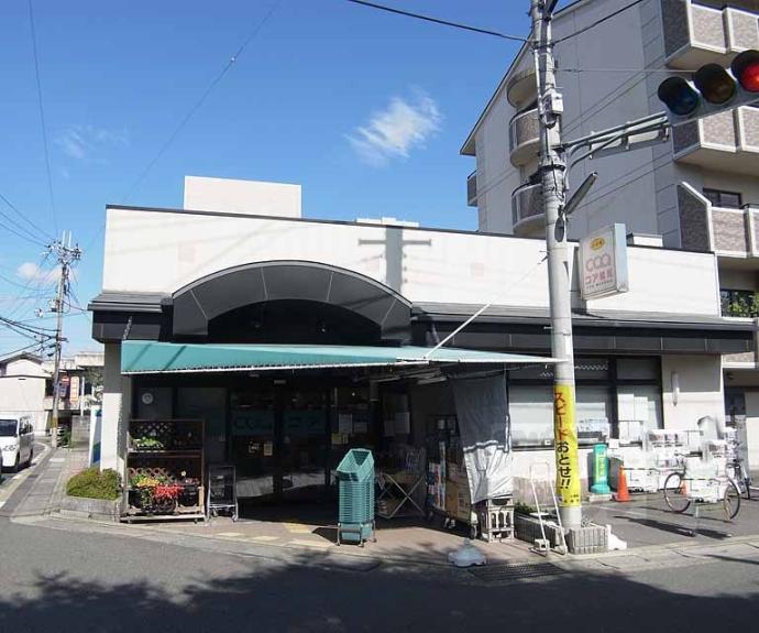 【ＭＩＭＯＳＡ　ＧＡＲＤＥＮ　ＣＯＵＲＴ】間取