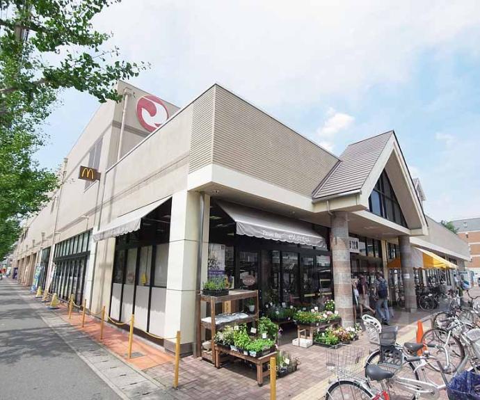 【桂池尻町貸家２８－７】間取
