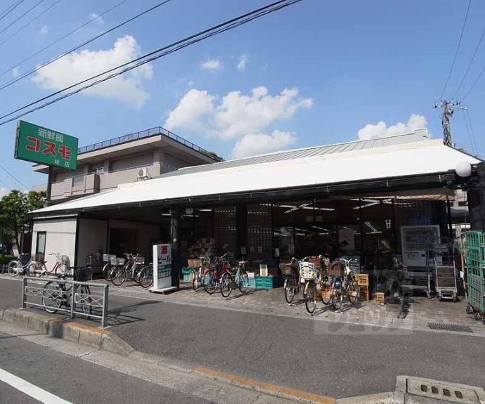 【牛ケ瀬弥生町貸家】間取
