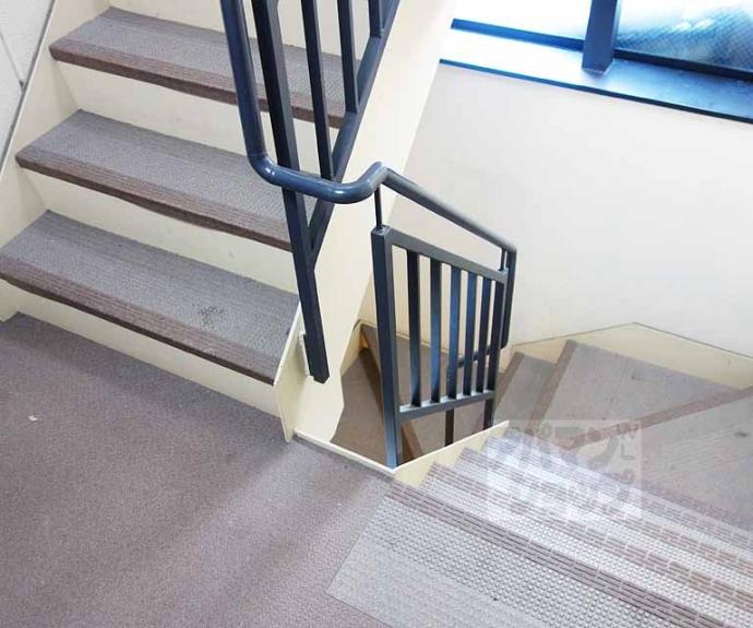 【メゾンＹＭ】間取