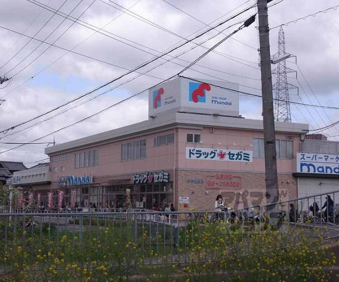 【セントーサ】間取