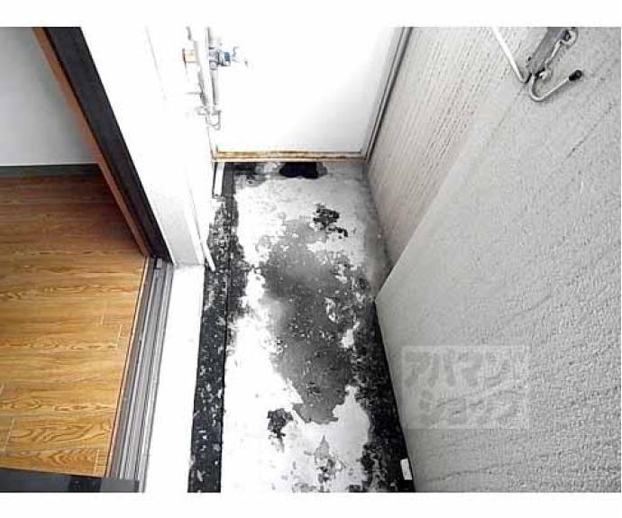 【ハイツわかくさ】間取