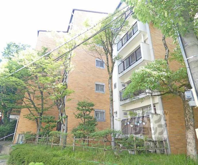 【東大路高野第３住宅１９棟】間取