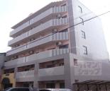 ダイアモンテ七条