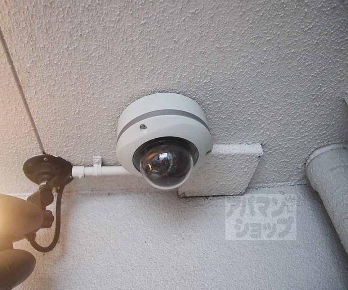 【ロイヤルビーブル】間取