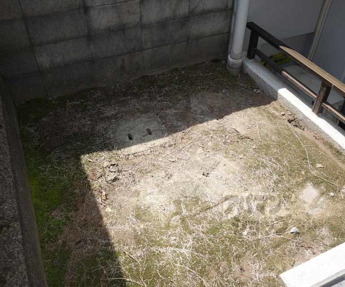 【ロイヤルビーブル】間取