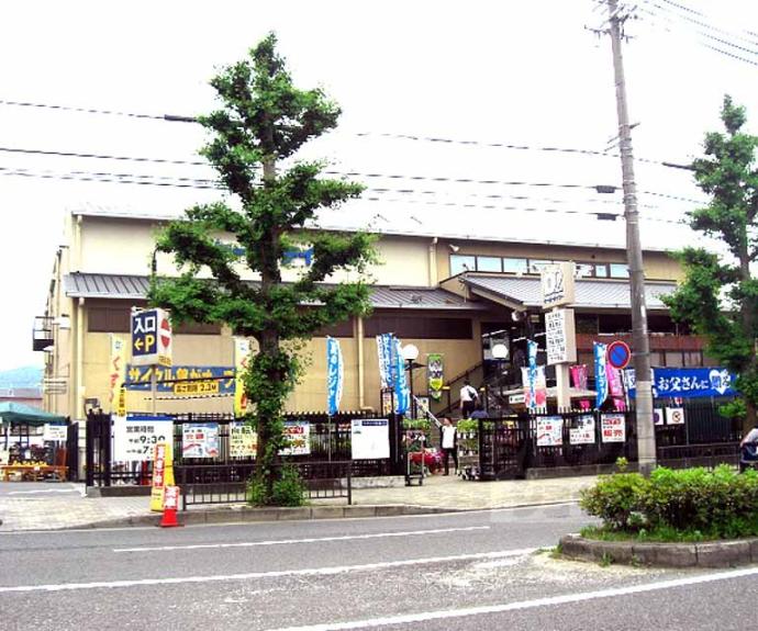 【田中下柳町貸家１３】間取