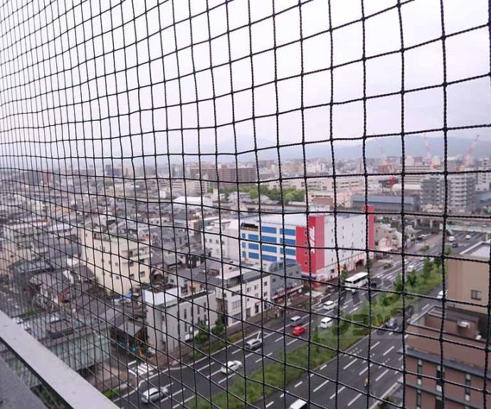 【ゴールドハイツ五条】間取