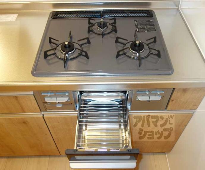 【ＲＩＯ西七条】間取