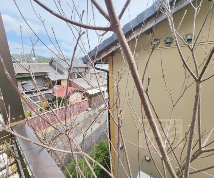 【Ｎ’ｓ双ヶ丘】間取