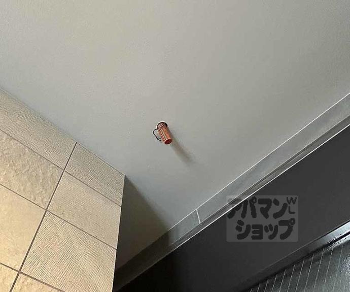 【ＡｓａｎｔｅＡＰＭ】間取