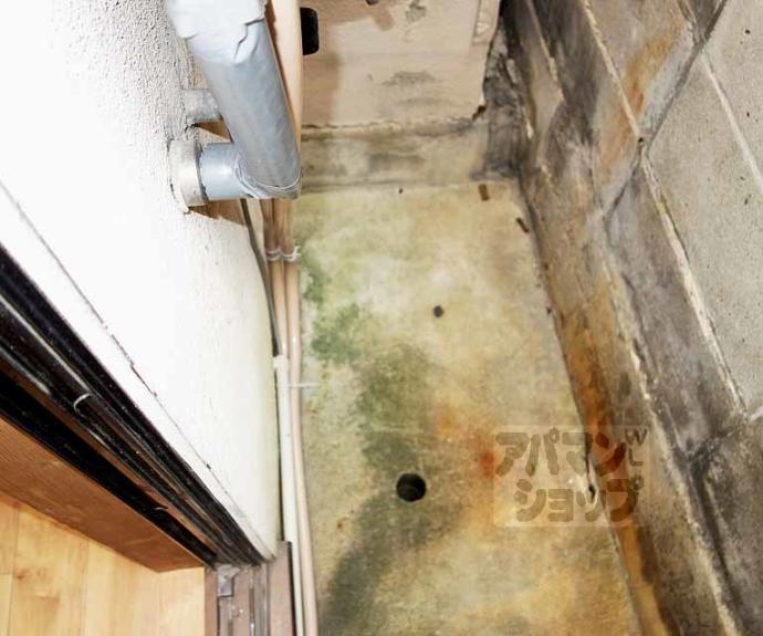 【南区東寺町貸家】間取
