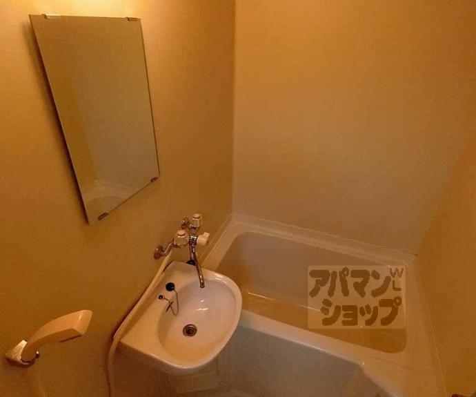 【ドエル１号館ＳＹ】間取