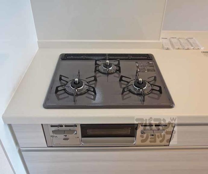 【ベレオ桂Ⅱ】間取