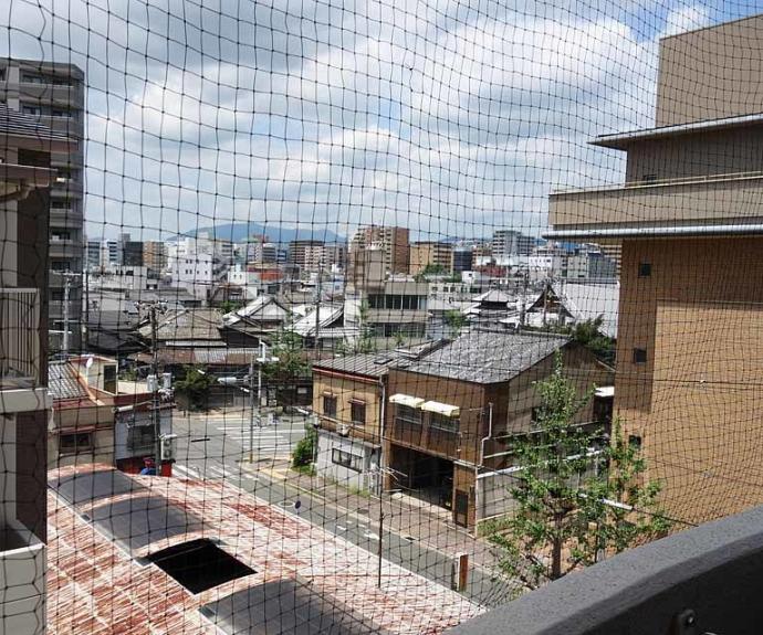 【朝日プラザ高瀬川】間取