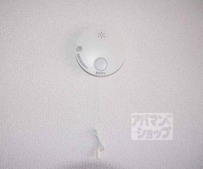 【朝日プラザ高瀬川】間取