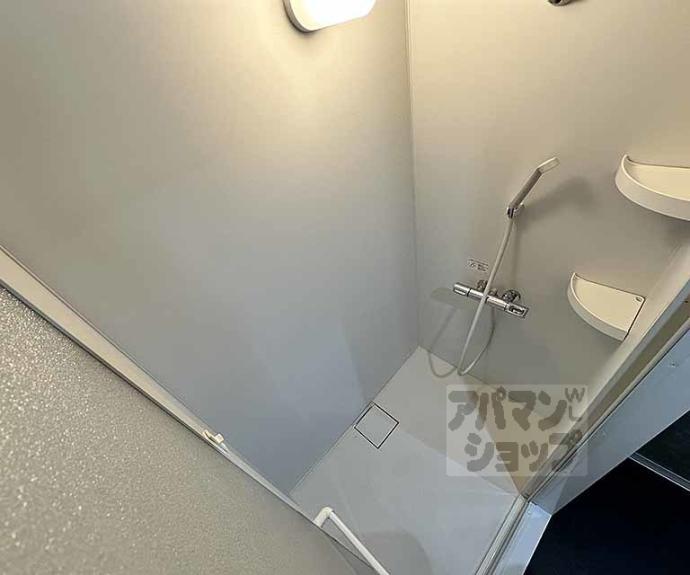 【デイスターアベニュー】間取