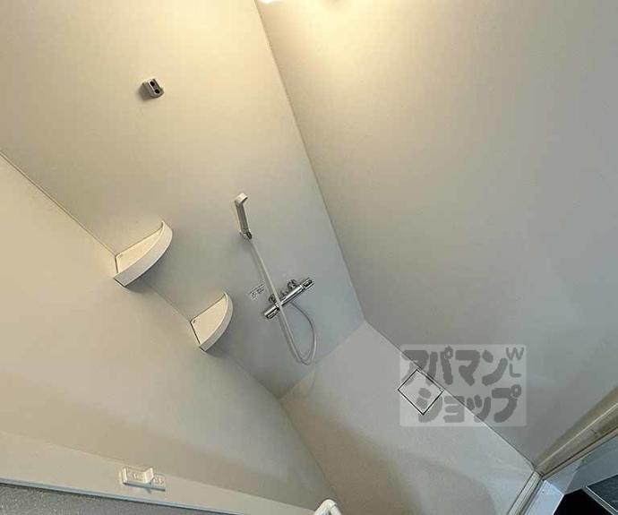 【デイスターアベニュー】間取