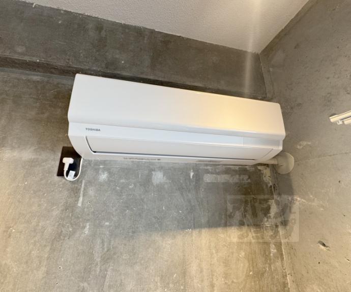 【デイスターアベニュー】