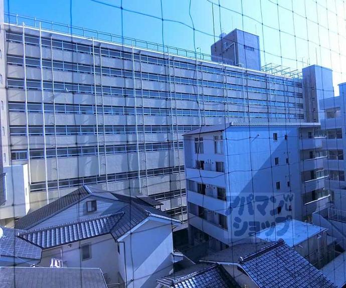【デイスターアベニュー】間取
