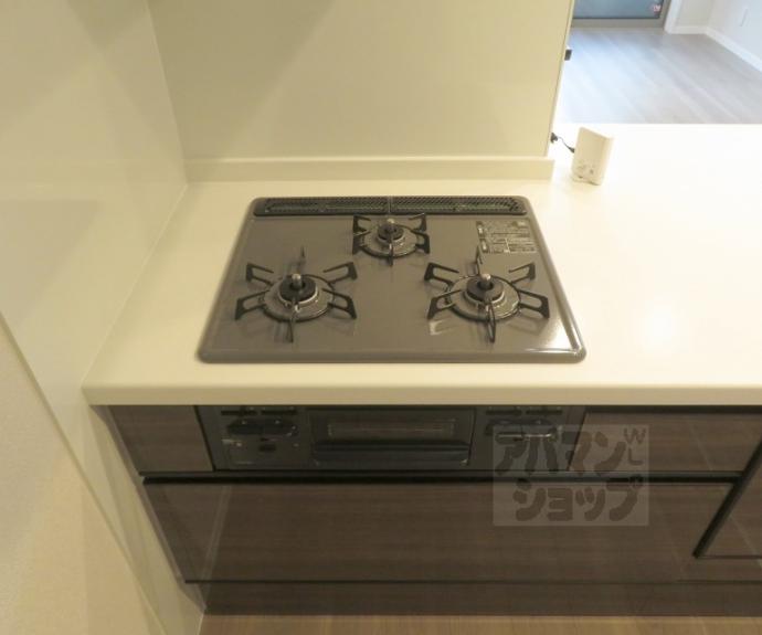 【ヴェスプッチ二条城】間取