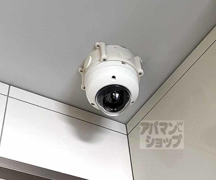 【プルミエ千本寺之内】間取