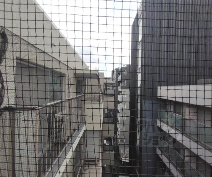 【御池パークマンション】間取