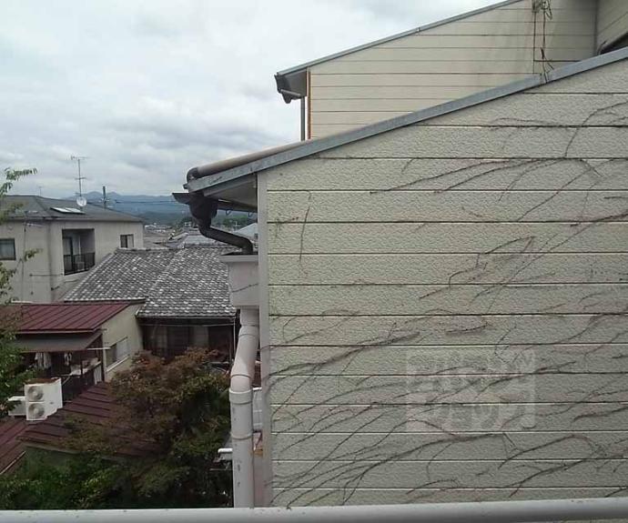 【ＤＥＴＯＭ－１北山レディース】間取