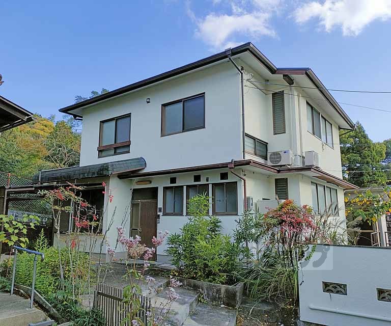 ベンチュラエンドウ桂