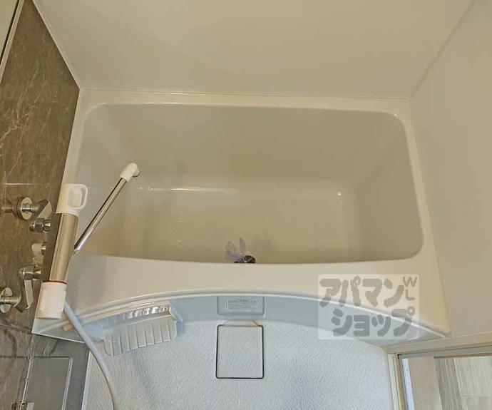 【ベンチュラエンドウ桂】間取