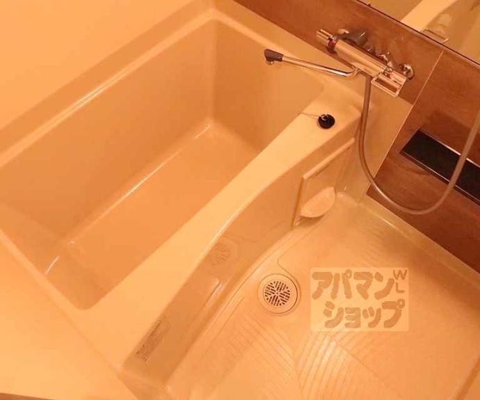 【プレサンス 京都室町通 紫水】間取