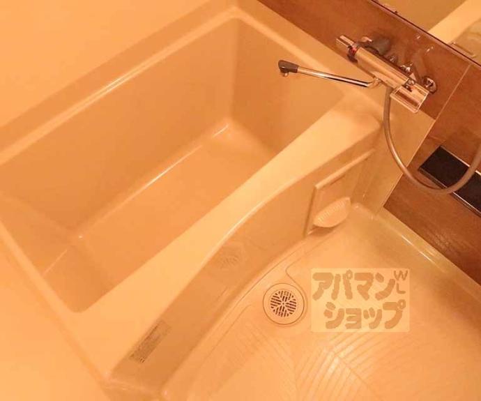 【プレサンス 京都室町通 紫水】間取