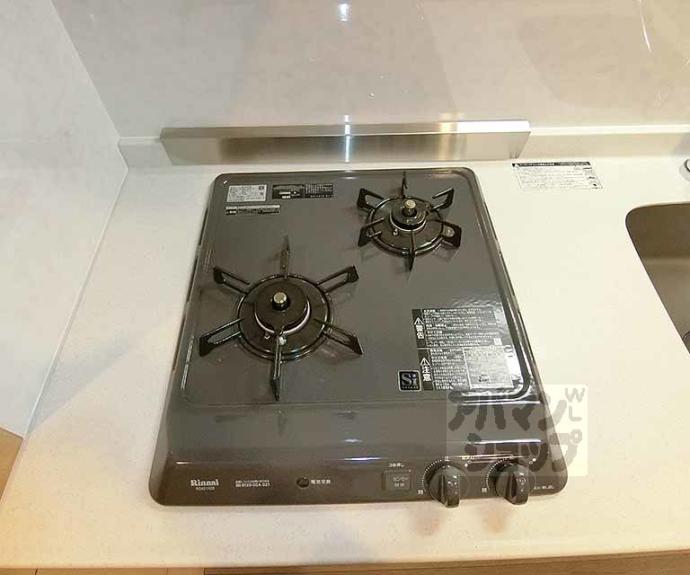 【ＴＨＥ　ＧＡＲＮＥＴ　ＳＵＩＴＥ　ＲＥＳＩＤＥＮＣＥ西院Ⅰ】間取