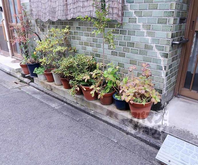 【西七条石井町　貸家】間取