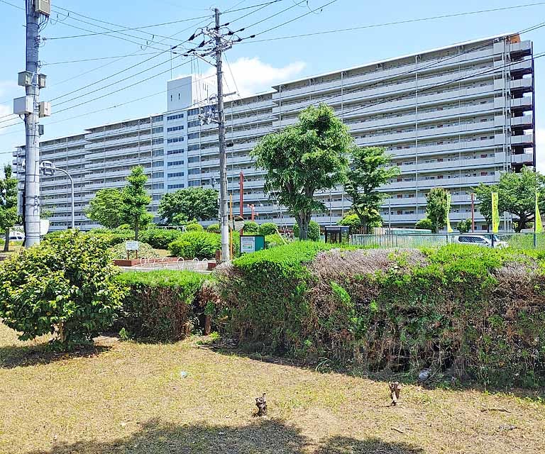 ベルヴィタウン京都伏見（向島市営住宅９街区）