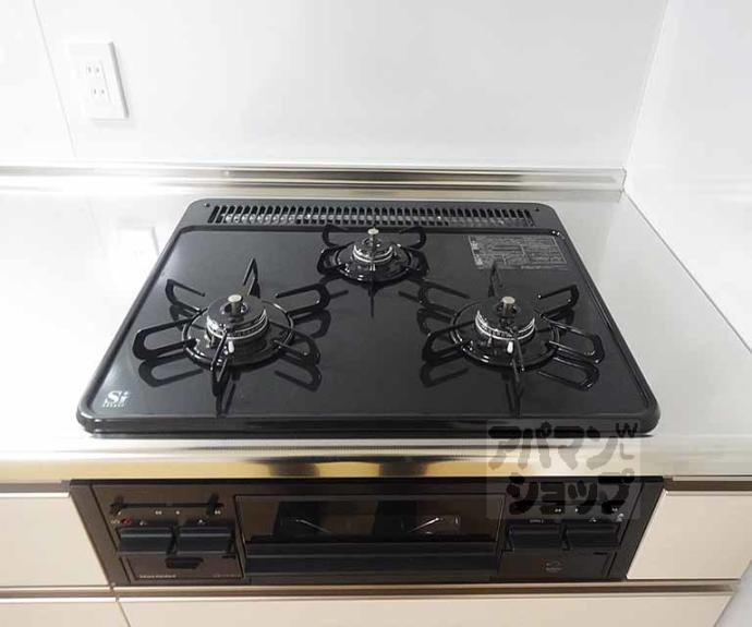 【エルマージュ安朱】間取