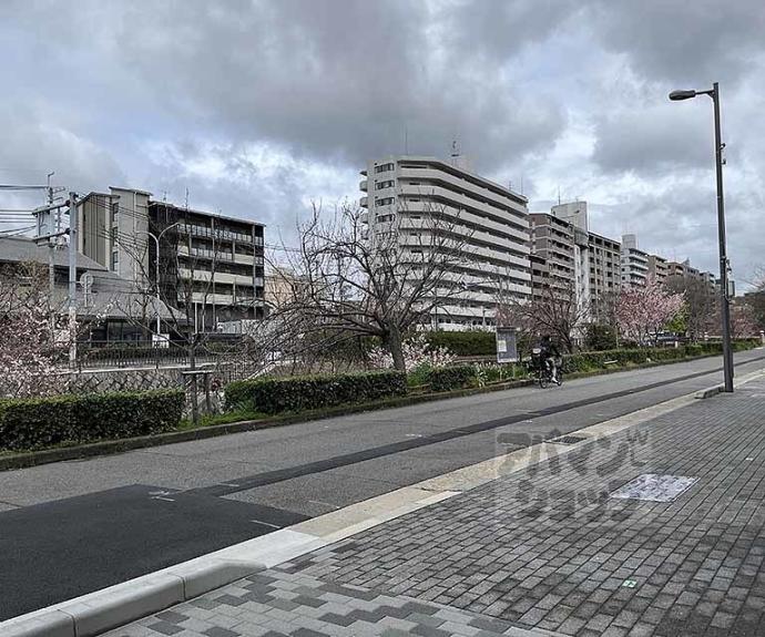 【リーガル京都堀川中立売Ⅱ】間取