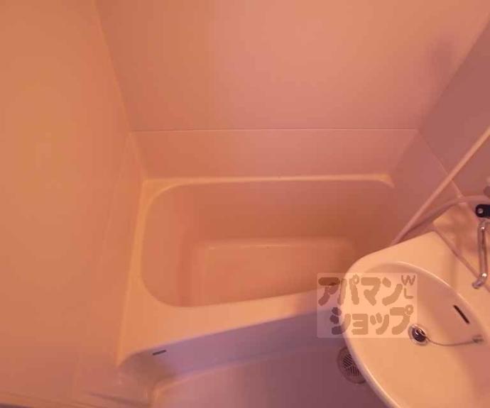 【コートハウス大西】間取