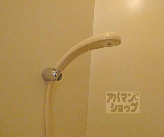 【アクティオカ】間取